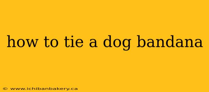 how to tie a dog bandana