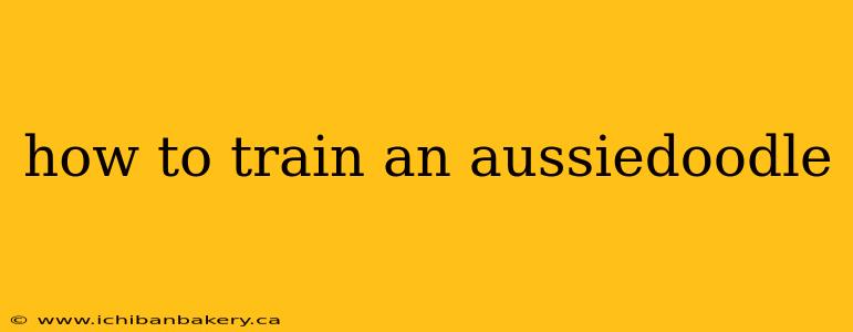 how to train an aussiedoodle