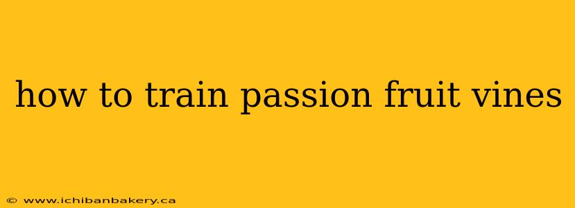 how to train passion fruit vines