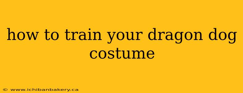 how to train your dragon dog costume