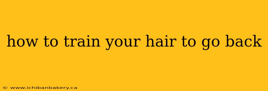 how to train your hair to go back