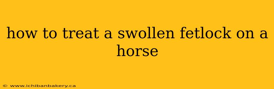 how to treat a swollen fetlock on a horse