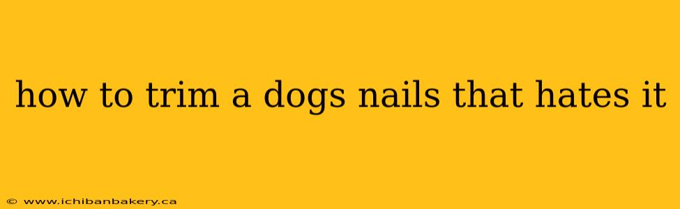 how to trim a dogs nails that hates it