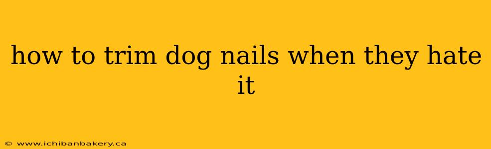 how to trim dog nails when they hate it