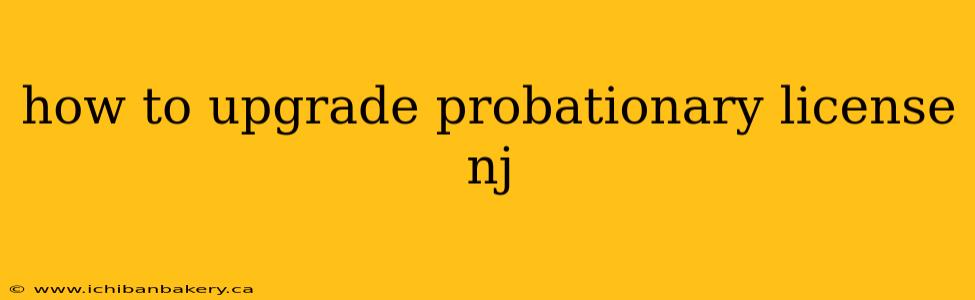 how to upgrade probationary license nj