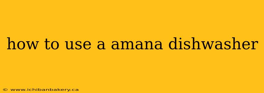 how to use a amana dishwasher