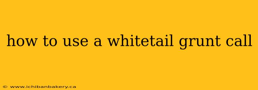 how to use a whitetail grunt call