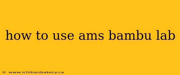how to use ams bambu lab