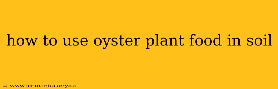 how to use oyster plant food in soil