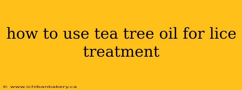 how to use tea tree oil for lice treatment