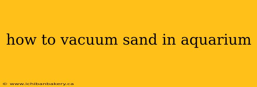 how to vacuum sand in aquarium