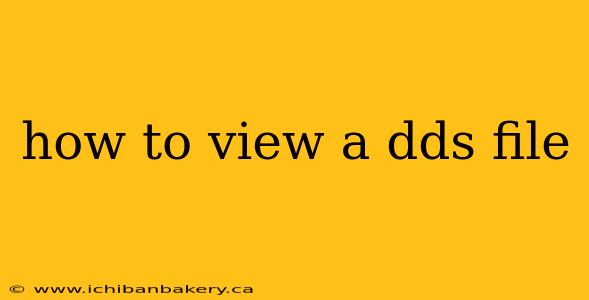 how to view a dds file