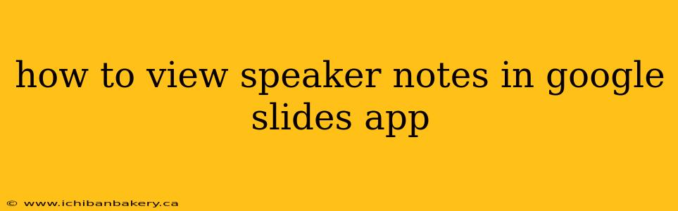 how to view speaker notes in google slides app