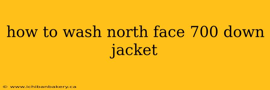 how to wash north face 700 down jacket