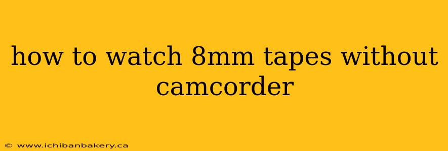 how to watch 8mm tapes without camcorder