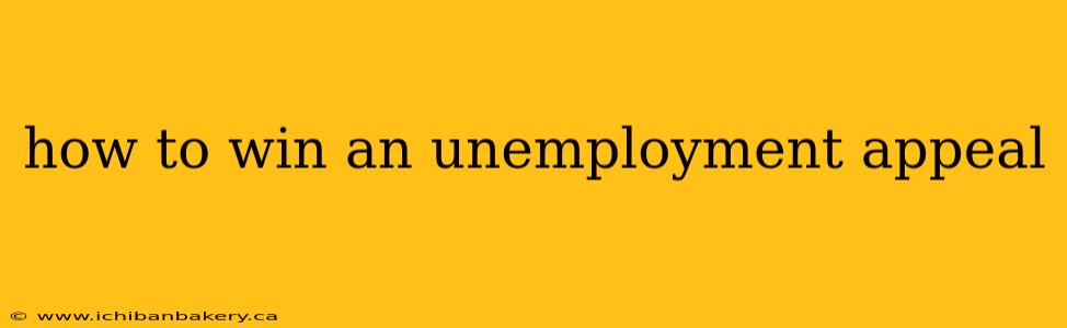 how to win an unemployment appeal
