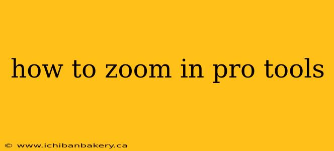 how to zoom in pro tools