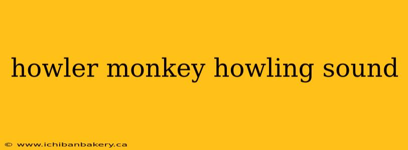 howler monkey howling sound