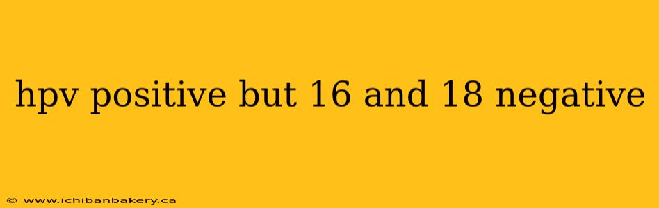 hpv positive but 16 and 18 negative