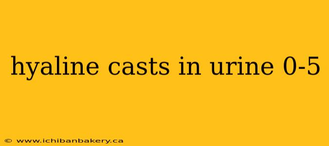 hyaline casts in urine 0-5