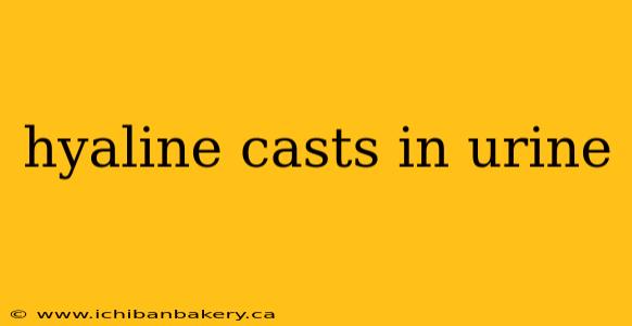 hyaline casts in urine