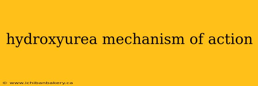 hydroxyurea mechanism of action