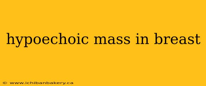 hypoechoic mass in breast