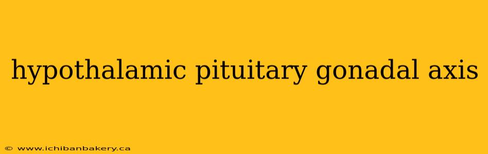 hypothalamic pituitary gonadal axis
