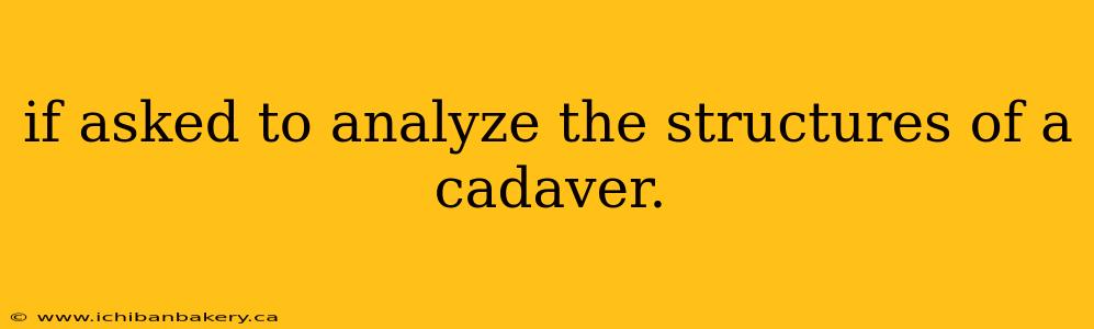 if asked to analyze the structures of a cadaver.