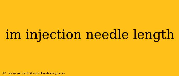 im injection needle length