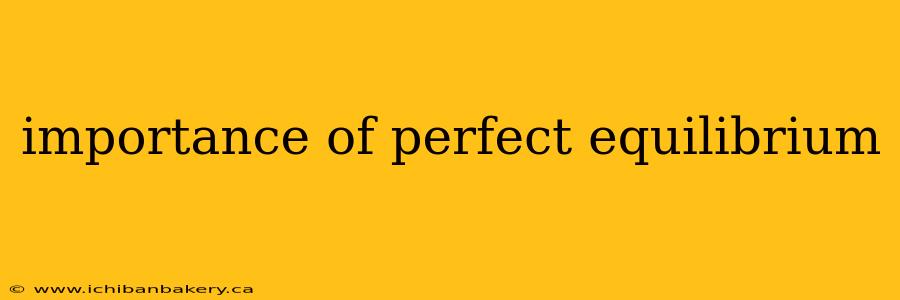 importance of perfect equilibrium
