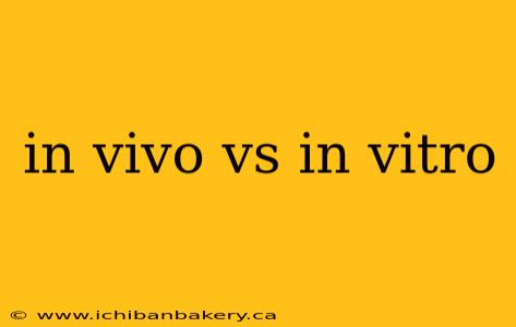 in vivo vs in vitro