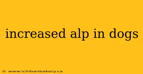 increased alp in dogs