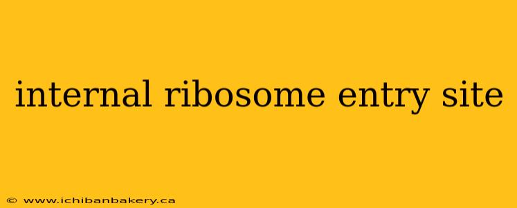 internal ribosome entry site