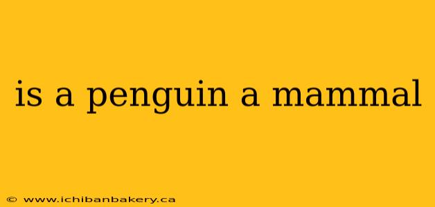 is a penguin a mammal