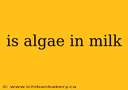 is algae in milk