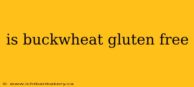 is buckwheat gluten free