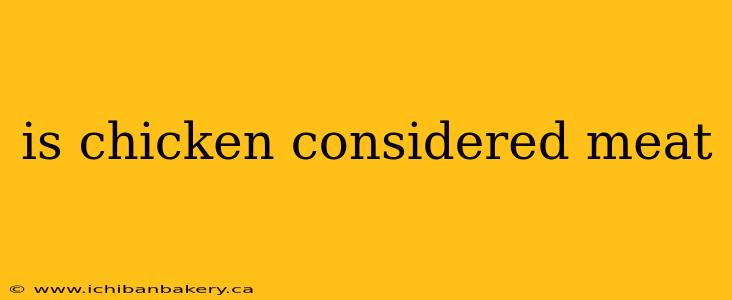 is chicken considered meat