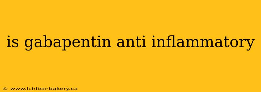 is gabapentin anti inflammatory