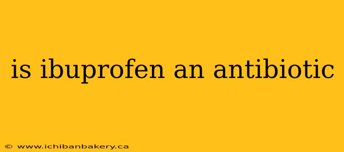 is ibuprofen an antibiotic