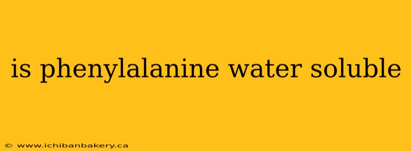 is phenylalanine water soluble