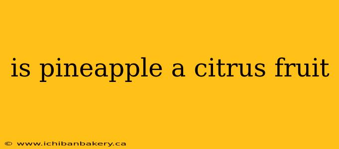 is pineapple a citrus fruit