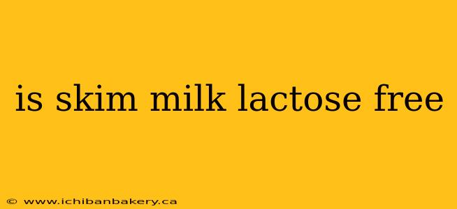 is skim milk lactose free