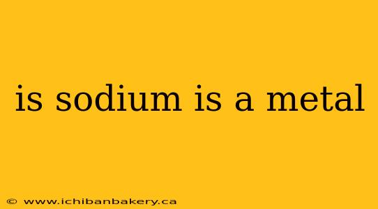 is sodium is a metal