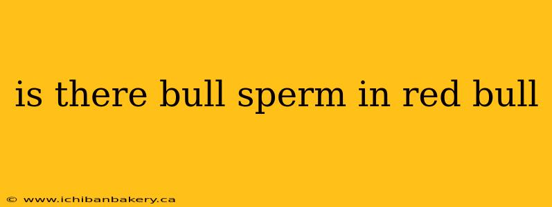 is there bull sperm in red bull