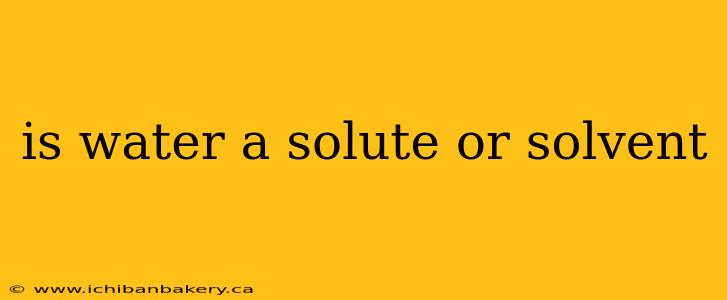 is water a solute or solvent