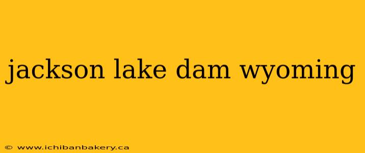 jackson lake dam wyoming