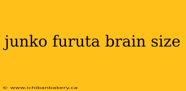 junko furuta brain size