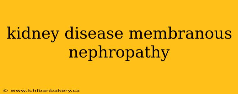 kidney disease membranous nephropathy