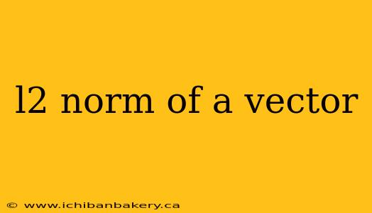 l2 norm of a vector